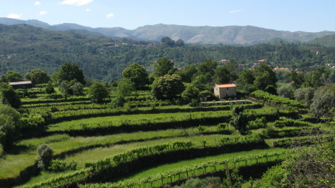 Portugal_2008_0016.JPG