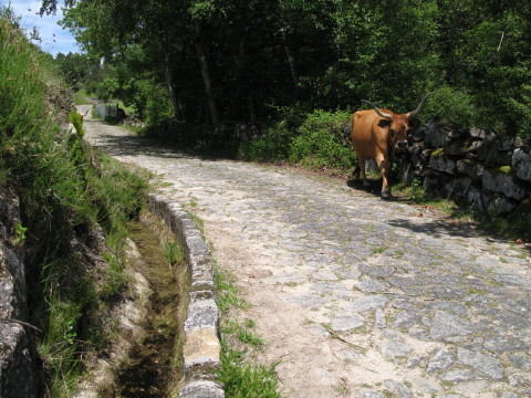 Portugal_2008_0098.JPG