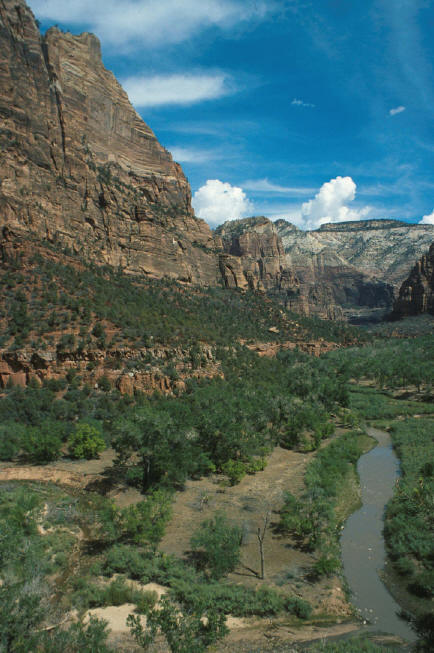 Zion_NP.JPG