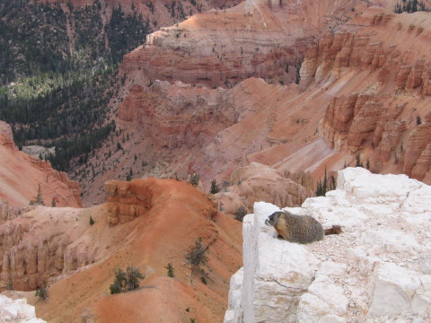 USA_2005_0146.JPG