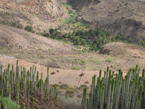 Gran_Canaria_2007_0016.JPG