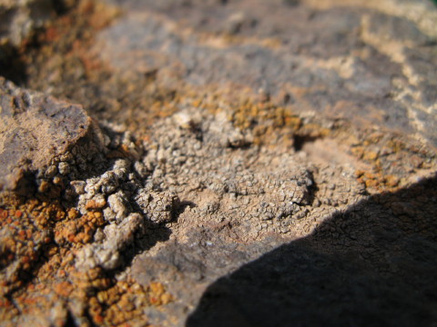 Gran_Canaria_2007_0053.JPG